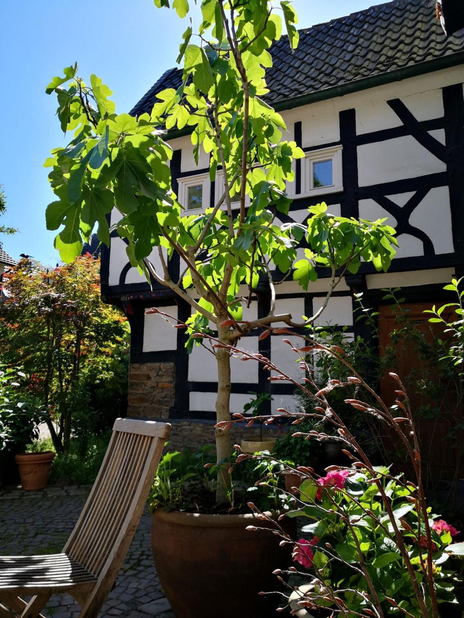 Fuenf Giebel Eck In Der Freiheit Am Ruhrtalradweg Hotel เวทเทอร์ ภายนอก รูปภาพ